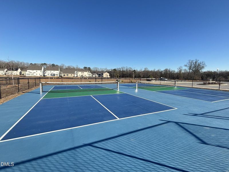 Community Pickleball Courts Community Pickleball Courts