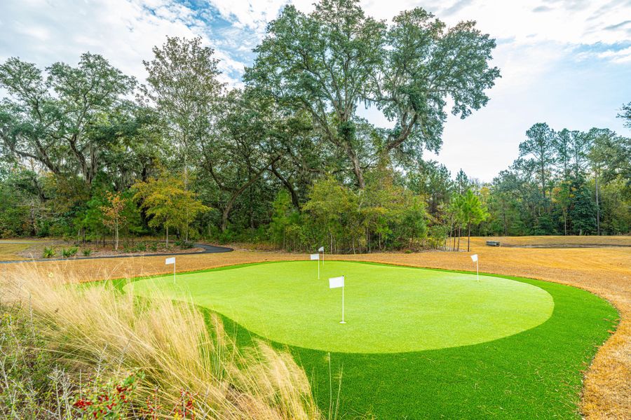 Natural landscape and outdoor views near Sea Island Preserve in Johns Island (Image 42). Natural landscape and outdoor views near Sea Island Preserve in Johns Island (Image 42).