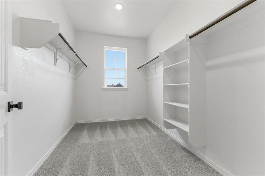 Walk in closet featuring light colored carpet