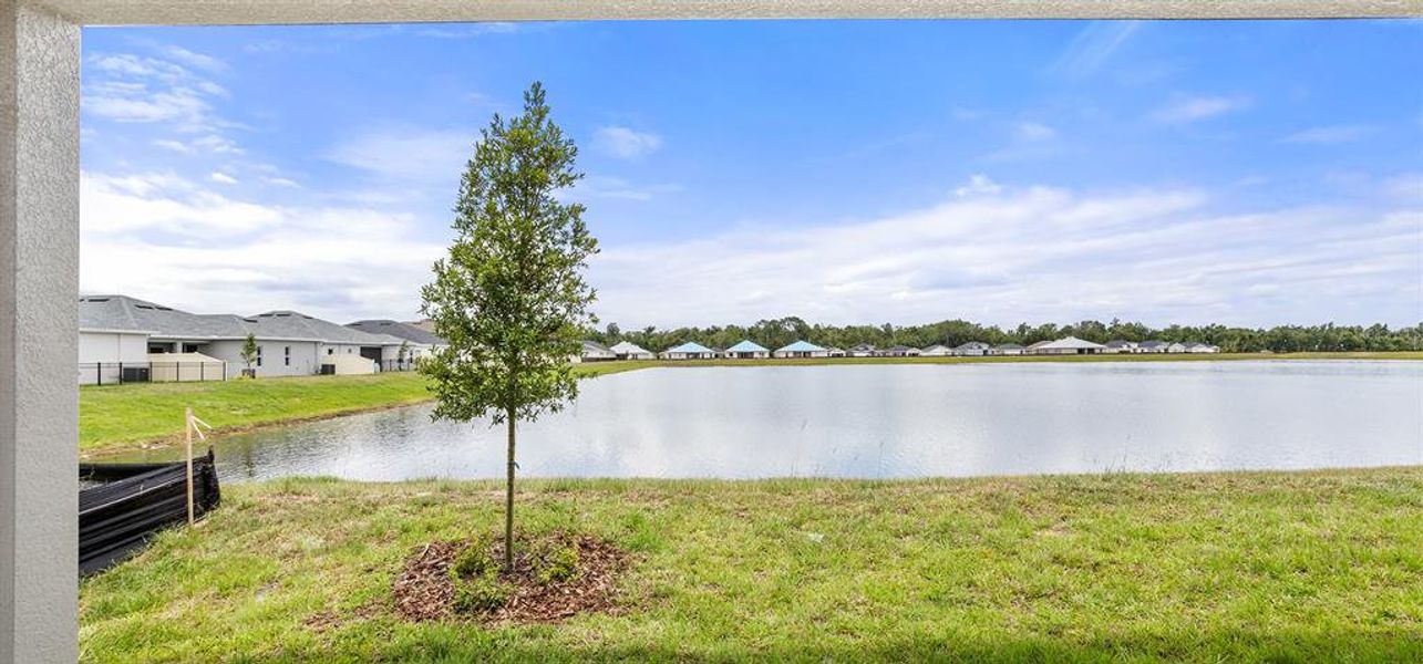 Natural landscape and outdoor views near The Crossings - Single-Family Homes in St. Cloud (Image 22).