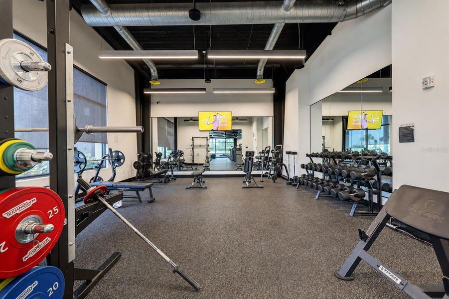 Community amenities in Skye Ranch Community Group Page, Sarasota (Image 49). Community amenities in Skye Ranch Community Group Page, Sarasota (Image 49).