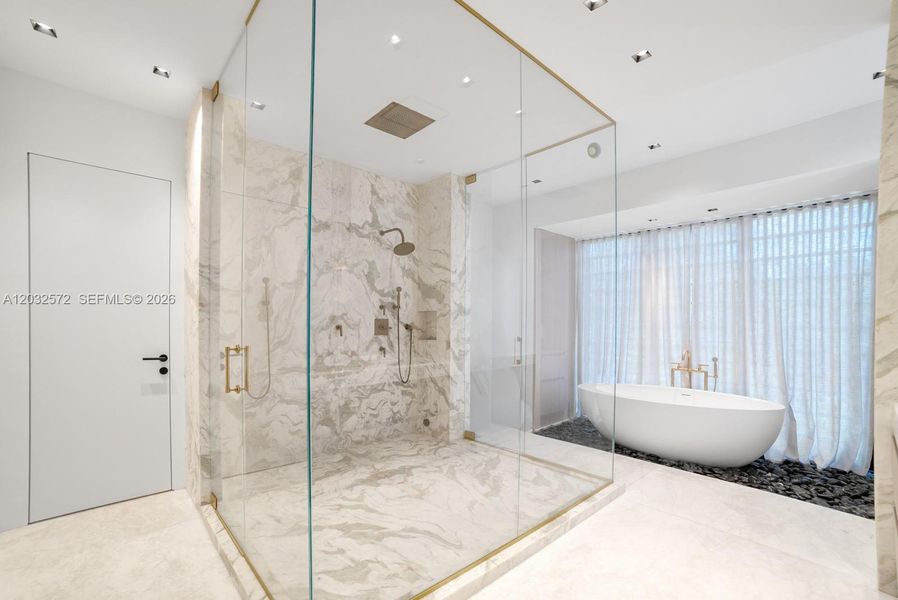 Primary staem shower Primary staem shower