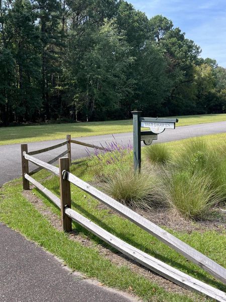Natural landscape and outdoor views near  in Johns Island (Image 29).
