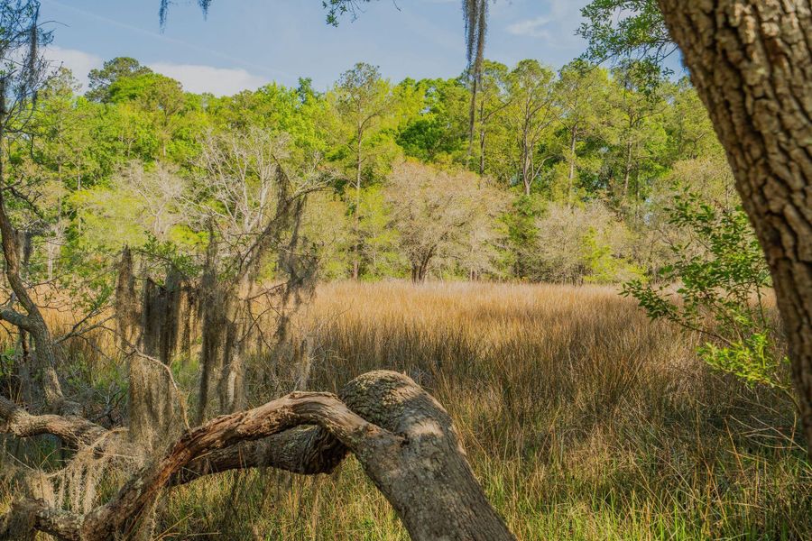 Natural landscape and outdoor views near  in Johns Island (Image 63).