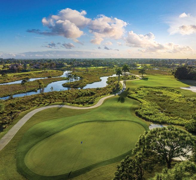 tesoro-club-pg-golf-course-palm-trees-03