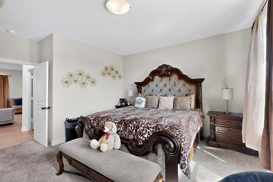 Bedroom featuring carpet and baseboards Bedroom featuring carpet and baseboards