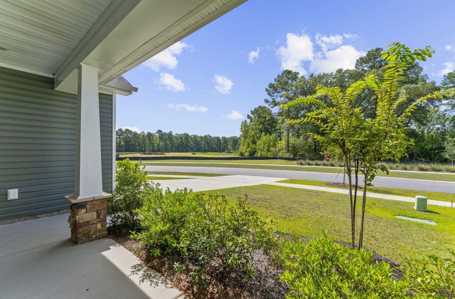 Exterior details and patio area of a home in The Groves of Berkeley, Moncks Corner (Image 32).
