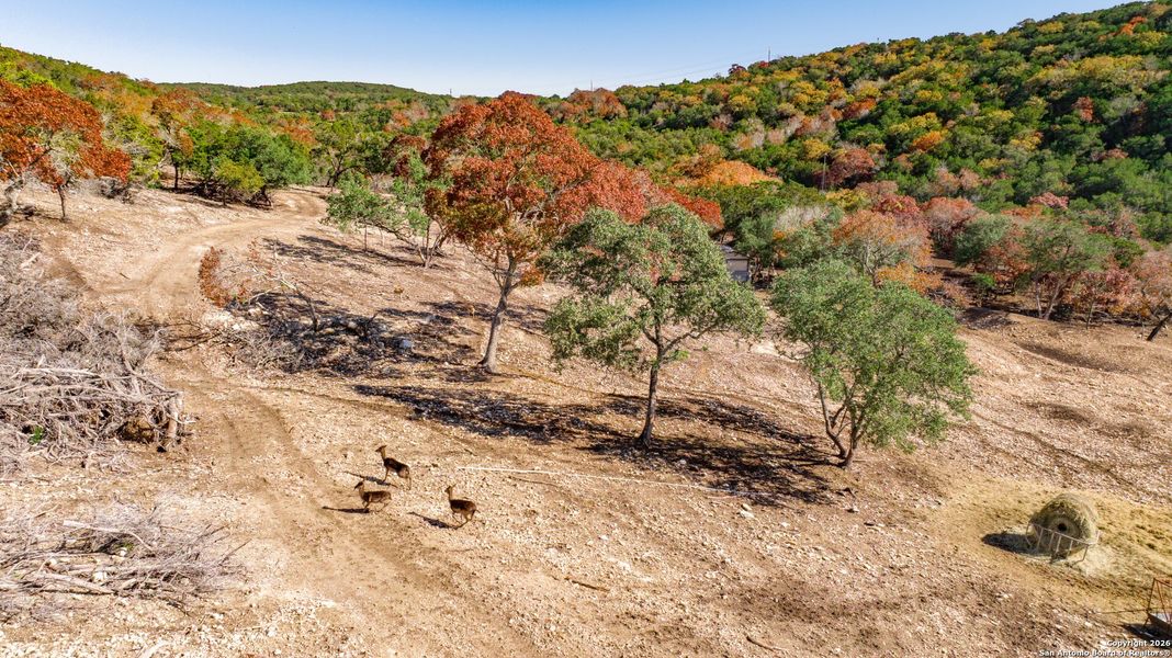 Natural landscape and outdoor views near  in Bandera (Image 31).