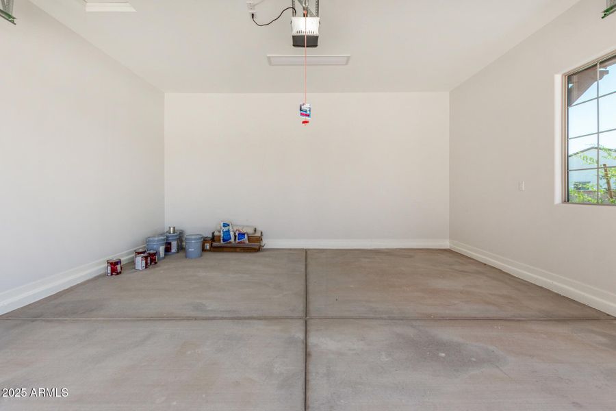 35 - Royal Palm 35 - Royal Palm