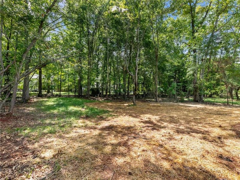 Natural landscape and outdoor views near in Murrayville (Image 36). Natural landscape and outdoor views near in Murrayville (Image 36).