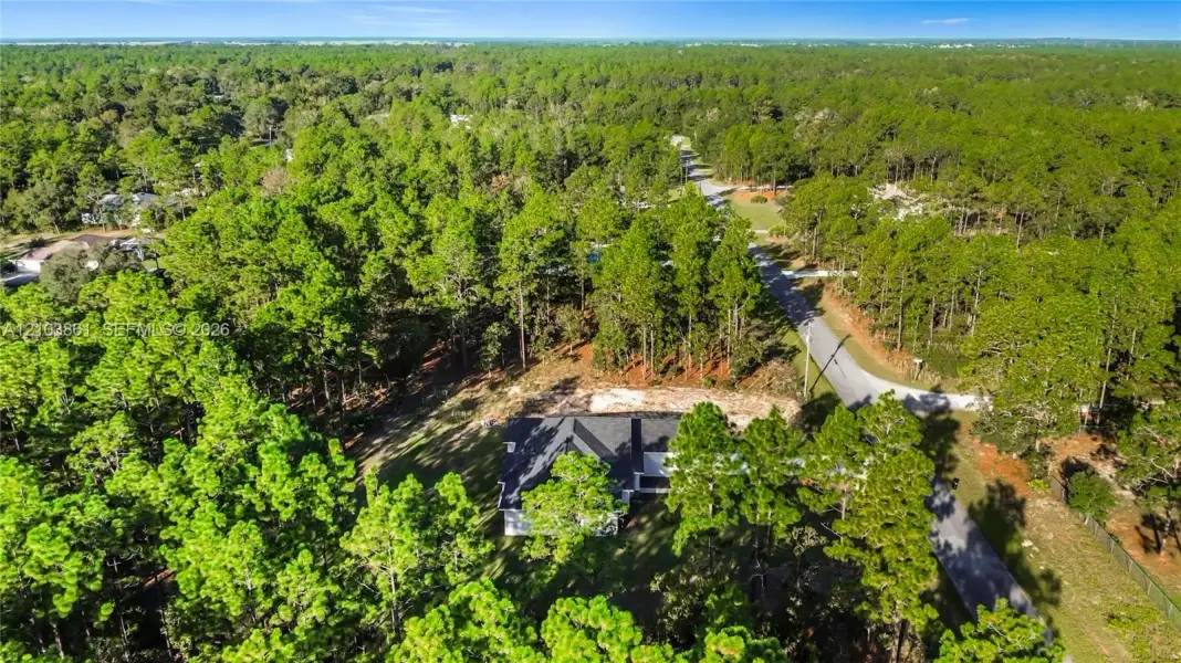 Aerial perspective of a property featuring extensive perimeter forestation, mature pine trees, asphalt roadway access, and a multi-pitch roofline