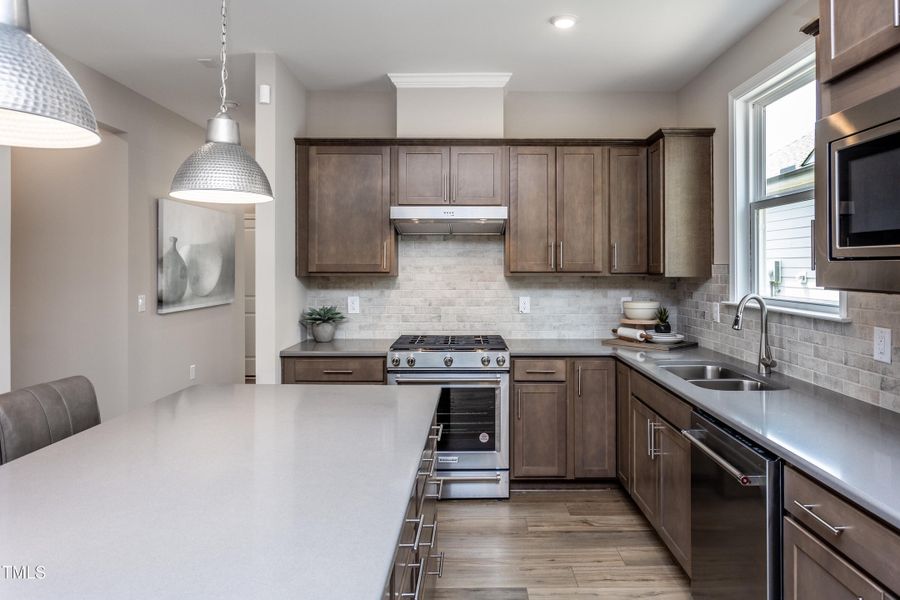 Contour009 Contour009