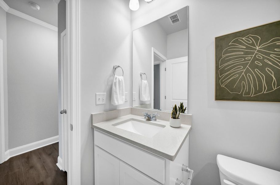 Furnished interior view inside a new home in Monroe Preserve, Chapin (Image 11).
