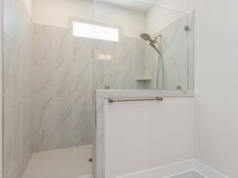 Owner's Bath
