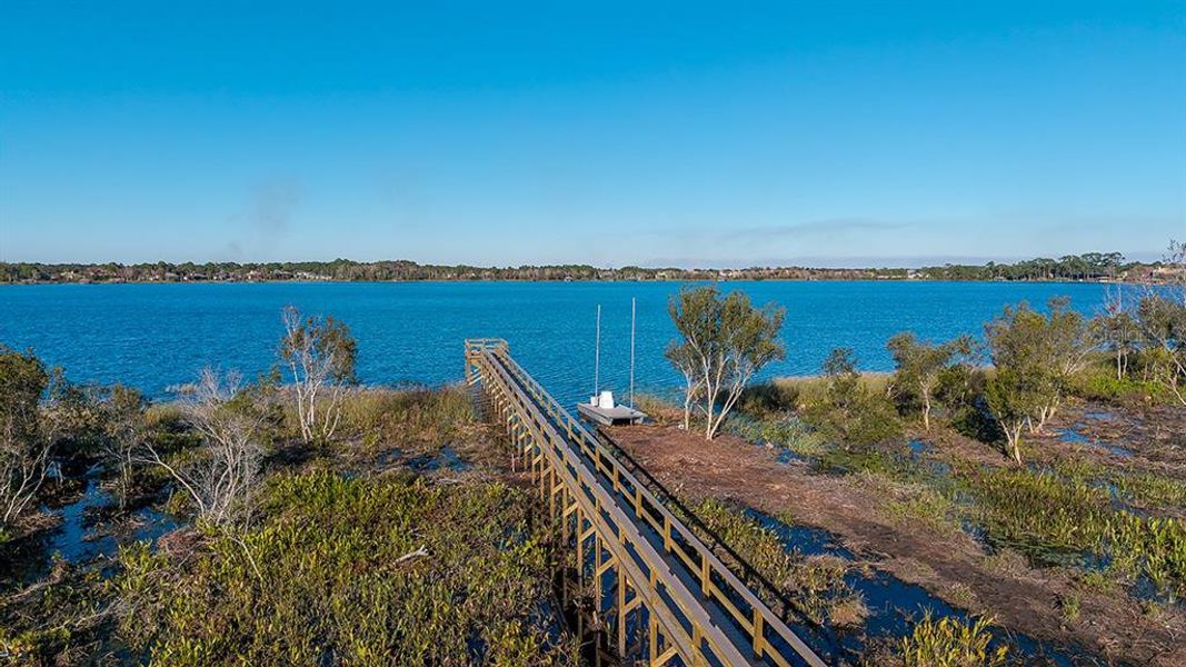 Natural landscape and outdoor views near Lochside in Mount Dora (Image 23).