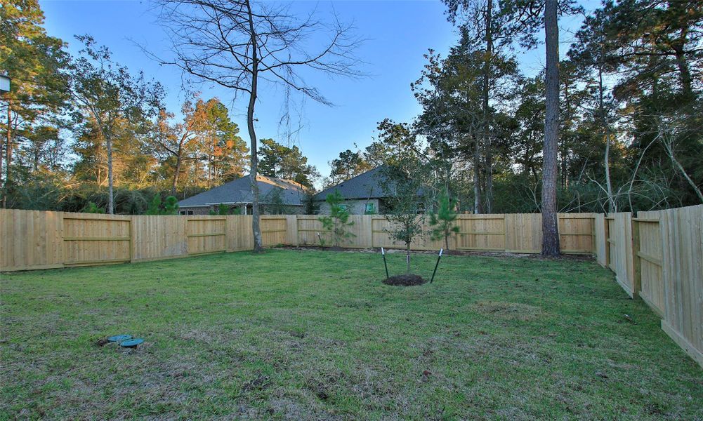 Exterior details and patio area of a home in The Woodlands Hills, Willis (Image 18).