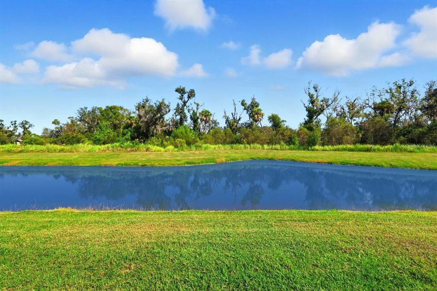 Natural landscape and outdoor views near The Reserve at Twin Rivers in Parrish (Image 34). Natural landscape and outdoor views near The Reserve at Twin Rivers in Parrish (Image 34).