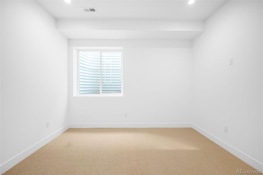 basement bedroom with walk-in closet