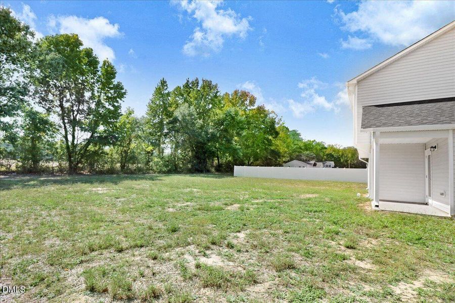 Yard and Patio View Yard and Patio View