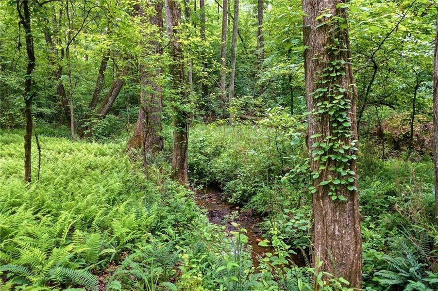 Natural landscape and outdoor views near  in Ball Ground (Image 33).