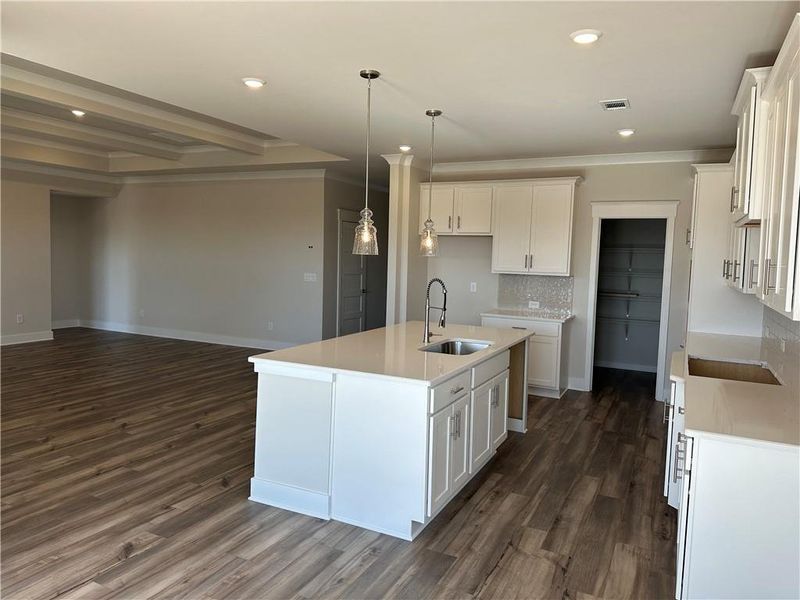 Furnished interior view inside a new home in Rosewood Lake Preserve, Hoschton (Image 8).