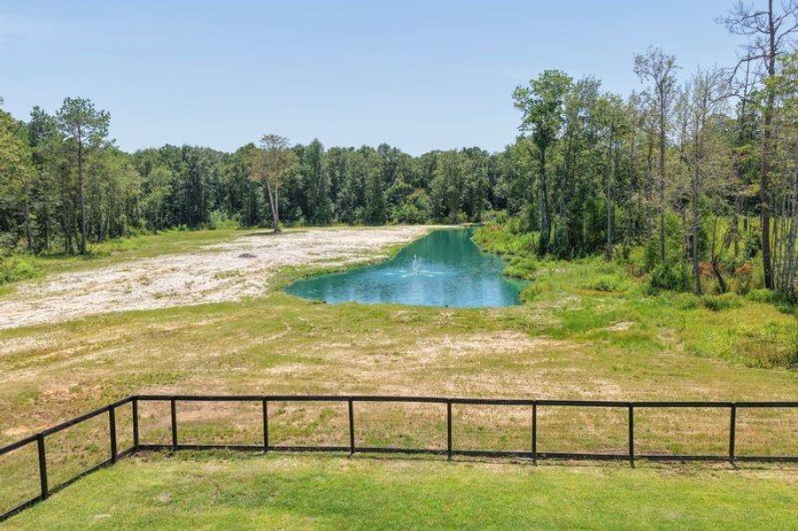 Natural landscape and outdoor views near  in Willis (Image 42).