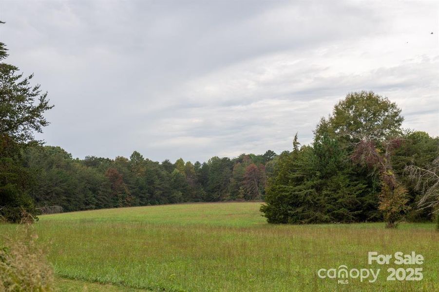 Natural landscape and outdoor views near  in Maiden (Image 14).