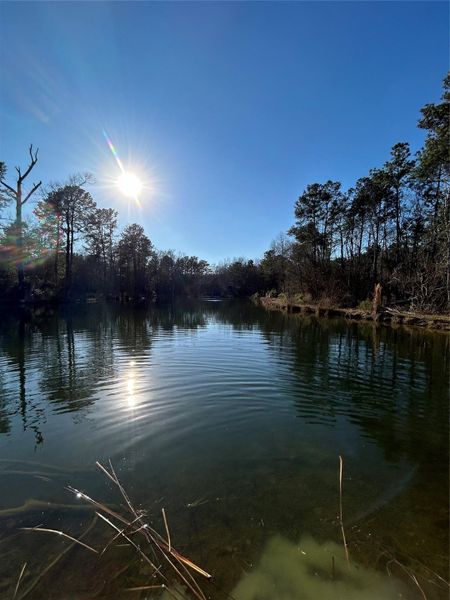 Natural landscape and outdoor views near  in Montgomery (Image 10).