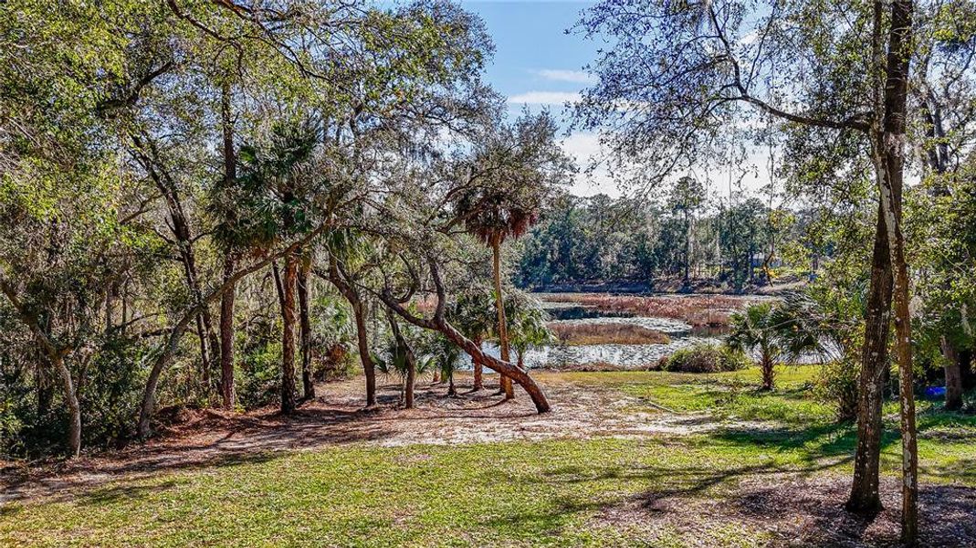 Natural landscape and outdoor views near  in Ocklawaha (Image 41).