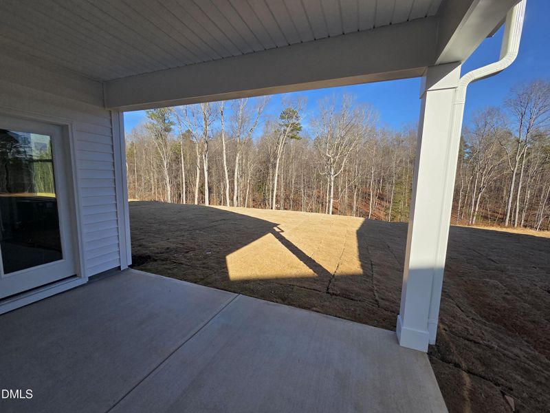 192 Prairie Wolf Street_backyard view