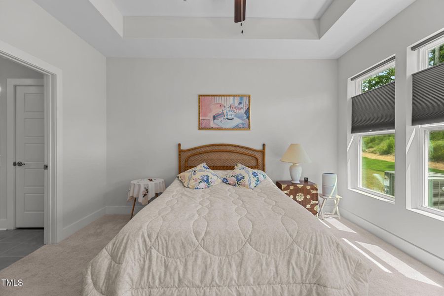 20-web-or-mls-2N6A4930