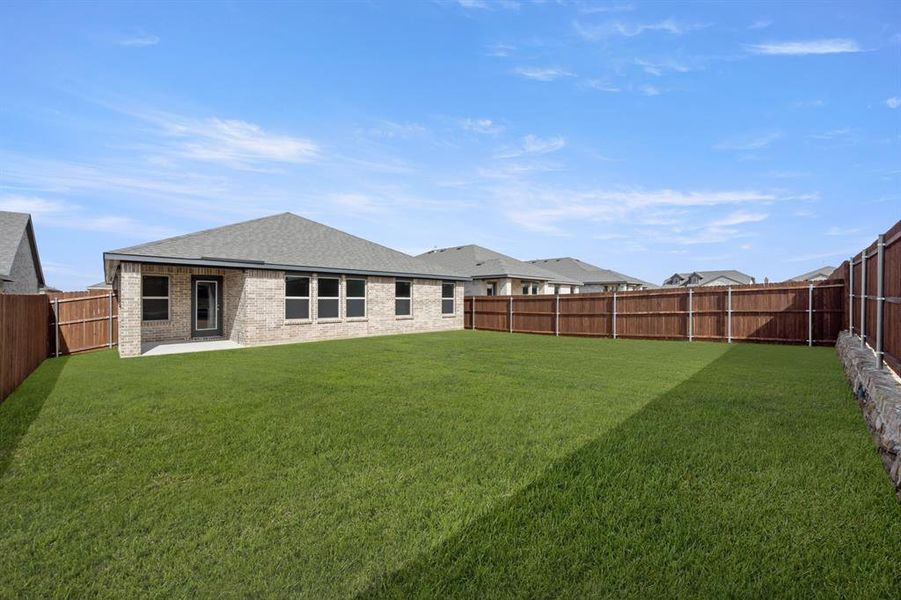 1905 Seminole- Back-1 1905 Seminole- Back-1