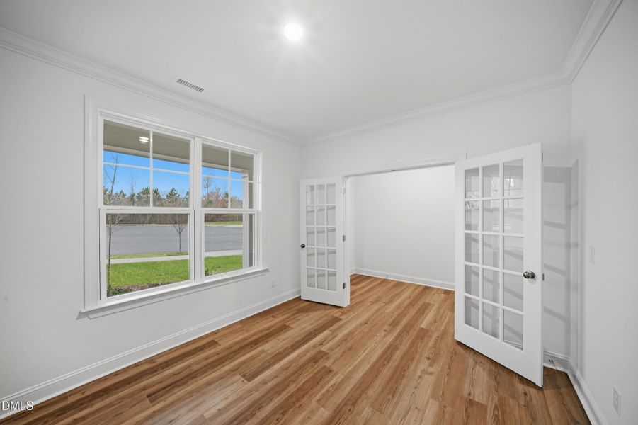 5_SUN_Stoneriver_Pic_GalvaniII_Study_2of