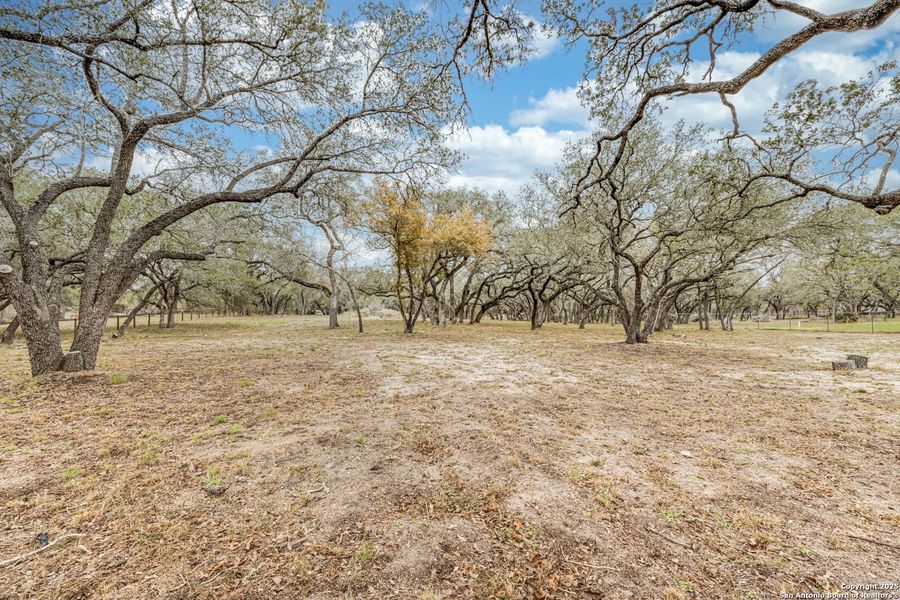 Natural landscape and outdoor views near  in Floresville (Image 50).