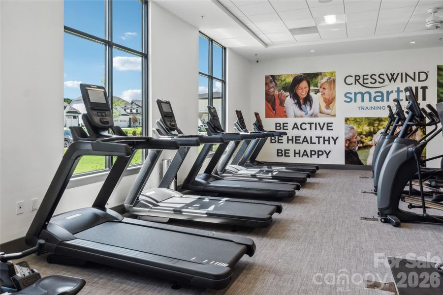 Treadmills Treadmills