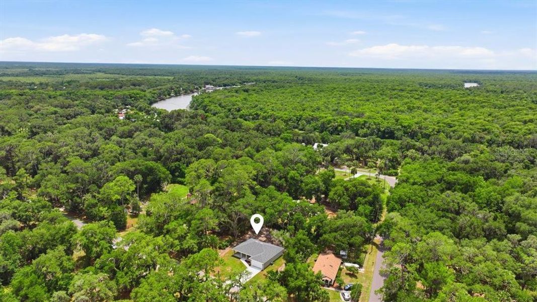 Natural landscape and outdoor views near  in Deland (Image 35).