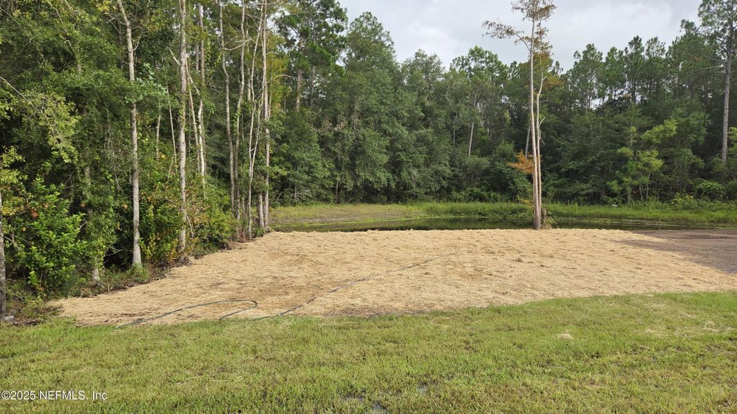 Natural landscape and outdoor views near  in Callahan (Image 18).