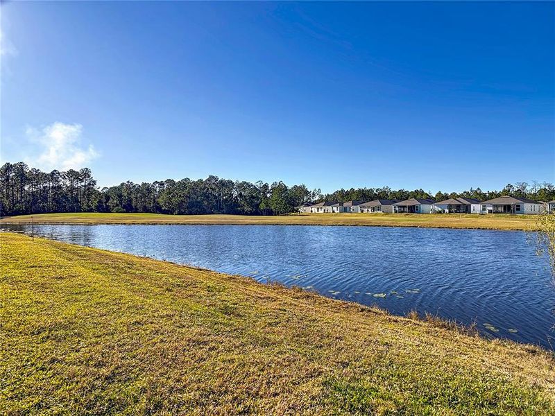 Natural landscape and outdoor views near in Bunnell (Image 40). Natural landscape and outdoor views near in Bunnell (Image 40).