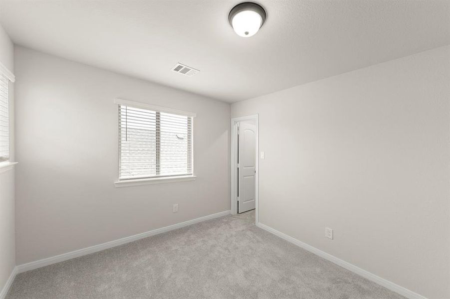 17_1436 Bramante, Celina