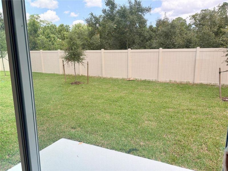 Exterior details and patio area of a home in Preservation Pointe, Davenport (Image 3).