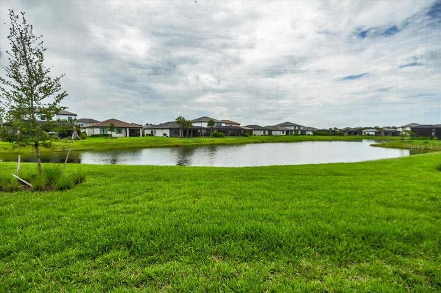 Natural landscape and outdoor views near in Lakewood Ranch (Image 67). Natural landscape and outdoor views near in Lakewood Ranch (Image 67).