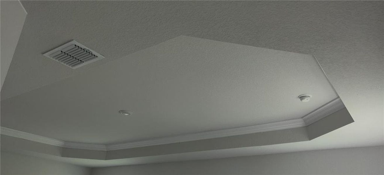 Tray Ceiling in Primary