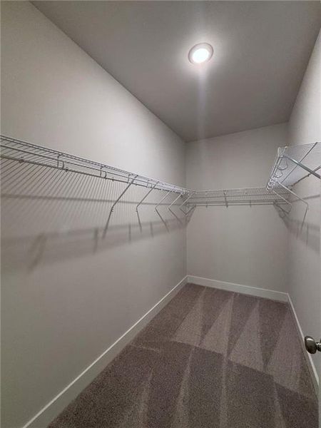 Spacious, unfurnished interior of a new home in , Gainesville (Image 16).