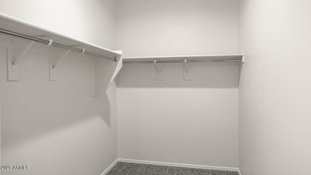 Mockingbird-Estrella Vista - 3530 - 3730