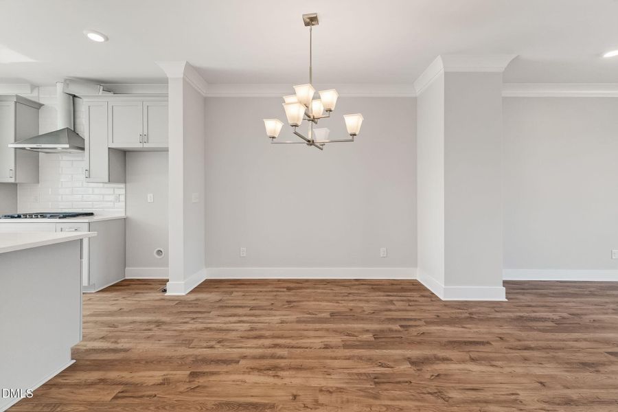 17-web-or-mls-DSC08370