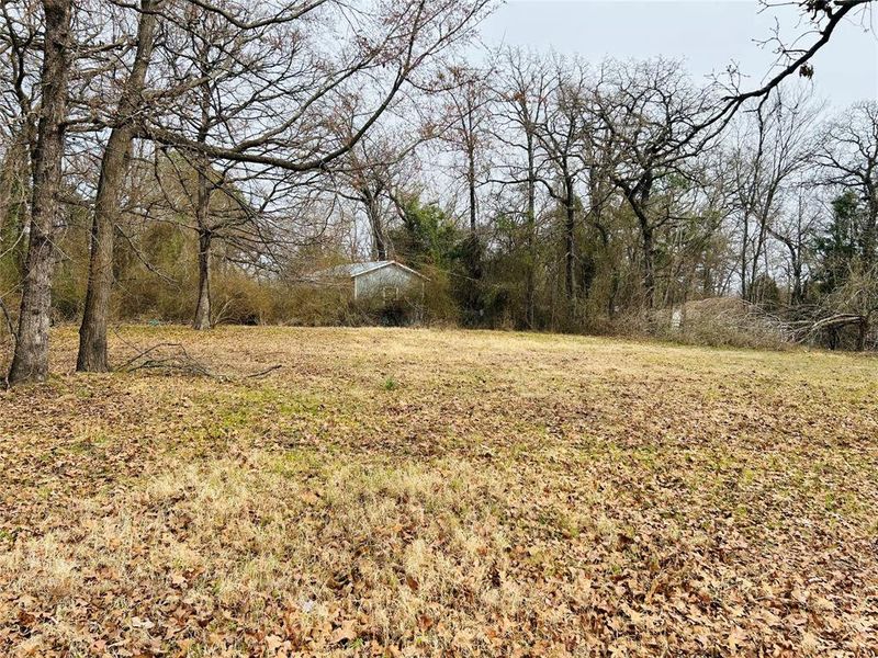 Natural landscape and outdoor views near  in Log Cabin (Image 17).
