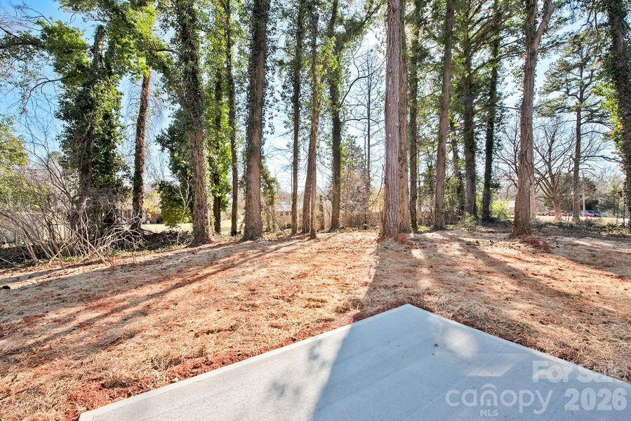 Natural landscape and outdoor views near  in Kannapolis (Image 34).