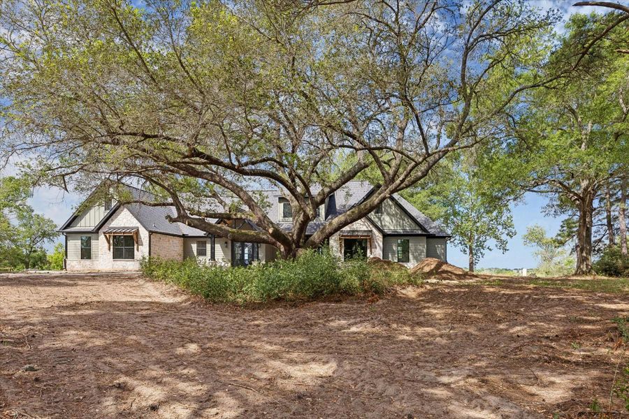 Lot sits up high with majestic Live oak trees in front and back