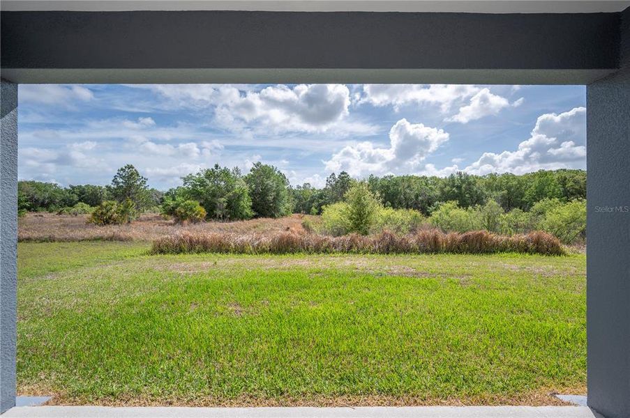 Exterior details and patio area of a home in , Mulberry (Image 24).