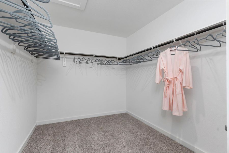 Spacious, unfurnished interior of a new home in Emberly, Beasley (Image 22).